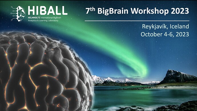 BigBrainWorkshop2023-flyer